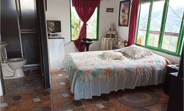 Finca para la venta en la via Santa Rosa de Cabal - El Manzanillo!!!