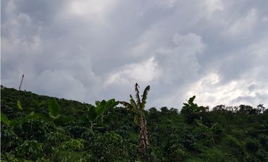 Finca para la venta en la via Santa Rosa de Cabal - El Manzanillo!!!