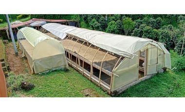 Finca para la venta en la via Santa Rosa de Cabal - El Manzanillo!!!