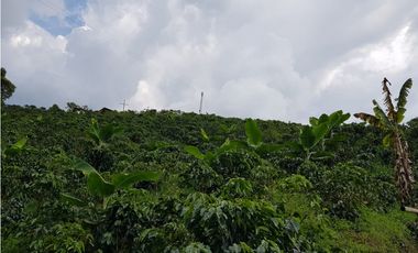 Finca para la venta en la via Santa Rosa de Cabal - El Manzanillo!!!