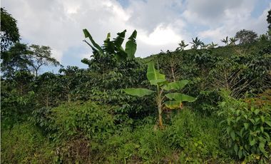 Finca para la venta en la via Santa Rosa de Cabal - El Manzanillo!!!