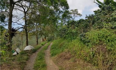 Finca para la venta en la via Santa Rosa de Cabal - El Manzanillo!!!