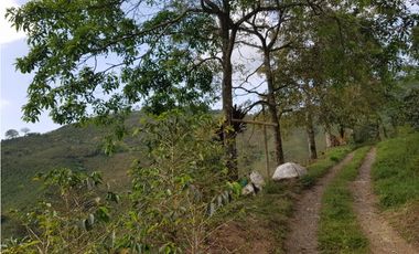 Finca para la venta en la via Santa Rosa de Cabal - El Manzanillo!!!