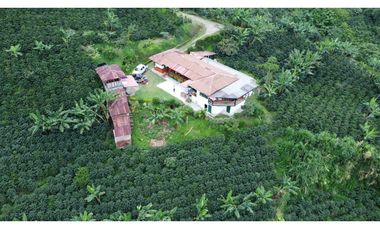 Finca para la venta en la via Santa Rosa de Cabal - El Manzanillo!!!