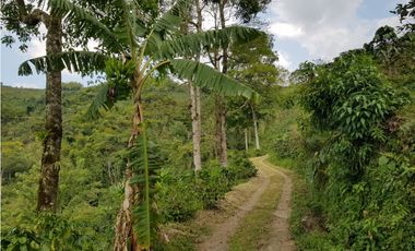 Finca para la venta en la via Santa Rosa de Cabal - El Manzanillo!!!