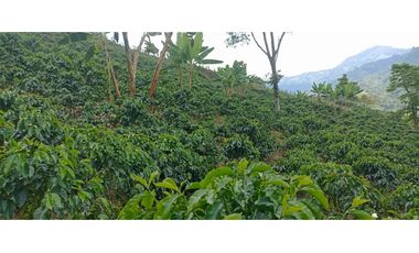 Finca para la venta en la via Santa Rosa de Cabal - El Manzanillo!!!