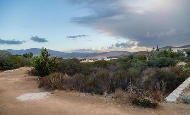 CASA con VIÑEDO en Valle de Guadalupe Quinta Estrella: Exclusividad, Sustentabil