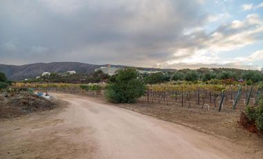CASA con VIÑEDO en Valle de Guadalupe Quinta Estrella: Exclusividad, Sustentabil