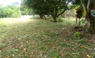 VENDO TERRENO EXCELENTE UBICACION VA CHIGORÉ PENONOMÉ