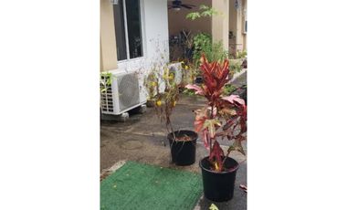 VENDO APARTAMENTO EN DIABLO HEIGHTS, PH PROVENZA (6)