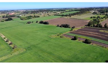 Campo Agricola 75 HAS Batan Mar del Plata