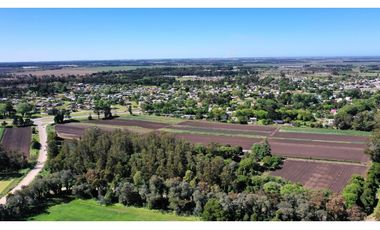 Campo Agricola 75 HAS Batan Mar del Plata