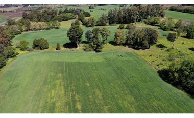 Campo Agricola 75 HAS Batan Mar del Plata