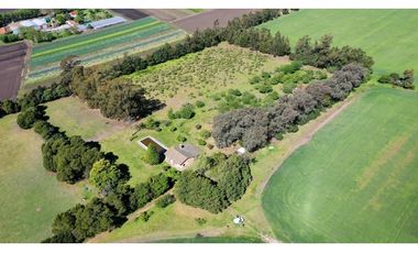 Campo Agricola 75 HAS Batan Mar del Plata