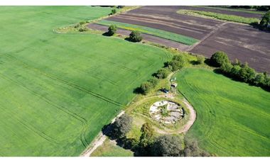 Campo Agricola 75 HAS Batan Mar del Plata