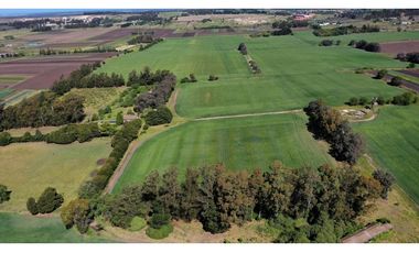 Campo Agricola 75 HAS Batan Mar del Plata