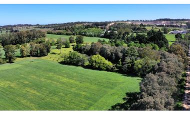 Campo Agricola 75 HAS Batan Mar del Plata