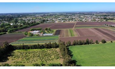 Campo Agricola 75 HAS Batan Mar del Plata