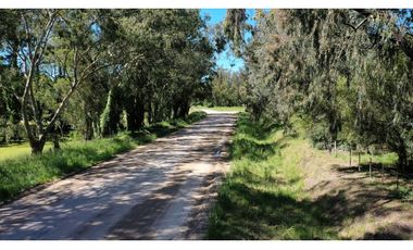 Campo Agricola 75 HAS Batan Mar del Plata