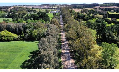 Campo Agricola 75 HAS Batan Mar del Plata