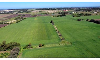 Campo Agricola 75 HAS Batan Mar del Plata