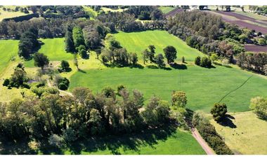 Campo Agricola 75 HAS Batan Mar del Plata