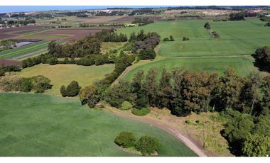 Campo Agricola 75 HAS Batan Mar del Plata