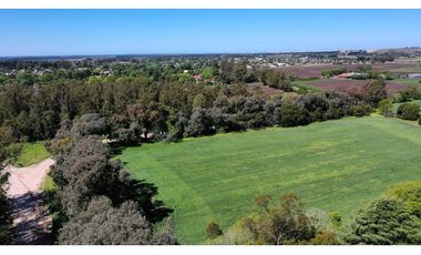 Campo Agricola 75 HAS Batan Mar del Plata