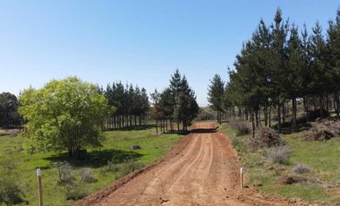 Parcela en venta en CHILLÁN VIEJO