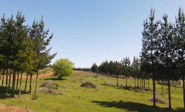 Parcela en venta en CHILLÁN VIEJO