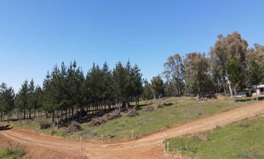 Parcela en venta en CHILLÁN VIEJO
