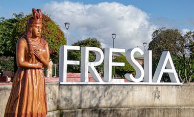 Parcela en venta en FRESIA