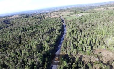 Parcela en venta  en FRESIA
