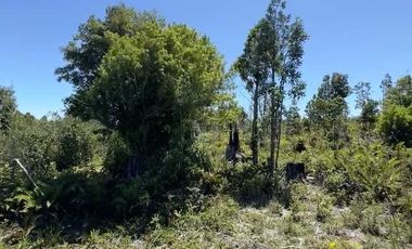 Parcela en venta en FRESIA