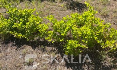 Parcela en Venta en Sector Lucay, comuna de Yumbre