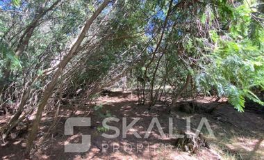 Parcela en Venta en Sector Lucay, comuna de Yumbre