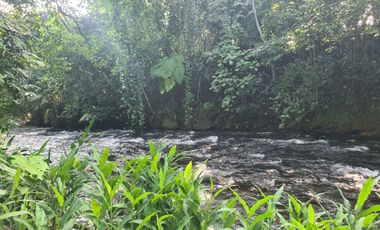 Rancho en VENTA 7 hectareas en SALINAS ROCA PARTIDA, Veracruz