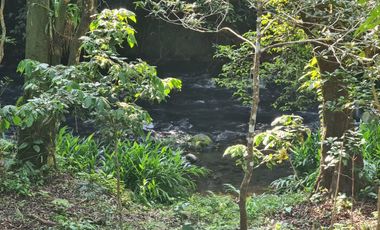 Rancho en VENTA 7 hectareas en SALINAS ROCA PARTIDA, Veracruz