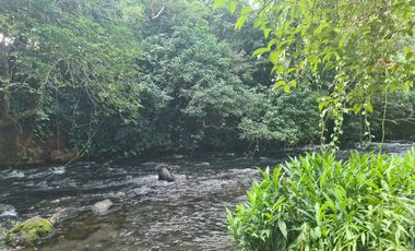 Rancho en VENTA 7 hectareas en SALINAS ROCA PARTIDA, Veracruz