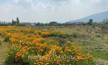 Terreno en exclusivo Loteo de Santa Rita ( Los Ciruelos)