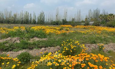Terreno en exclusivo Loteo de Santa Rita ( Los Ciruelos)