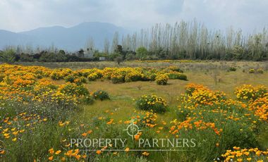 Terreno en exclusivo Loteo de Santa Rita ( Los Ciruelos)
