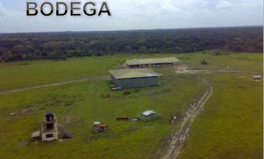 FINCA EN VENTA, OROCUE CASANARE, NEGOCIABLE