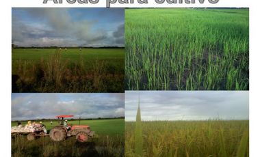 FINCA EN VENTA, OROCUE CASANARE, NEGOCIABLE