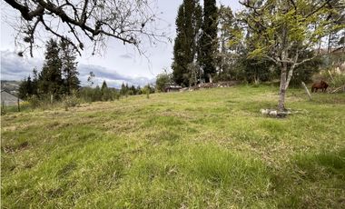 Venta de Terreno, Cuenca, Challuabamba, Apangoras 945m²