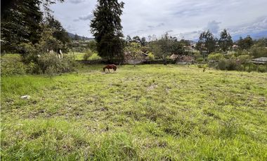 Venta de Terreno, Cuenca, Challuabamba, Apangoras 945m²