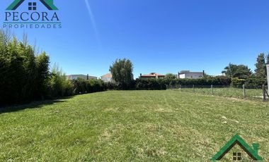 Terreno - Interno al golf - El Trébol - Haras Santa Maria - lote 1532