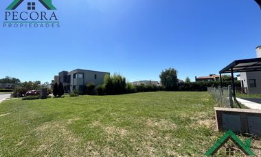Terreno - Interno al golf - El Trébol - Haras Santa Maria - lote 1532