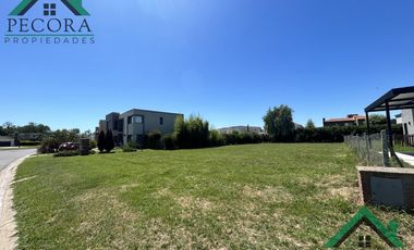 Terreno - Interno al golf - El Trébol - Haras Santa Maria - lote 1532
