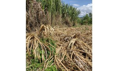 VENTA LOTE EN LA VIRGINIA RISARALDA | LOTES EN VENTA